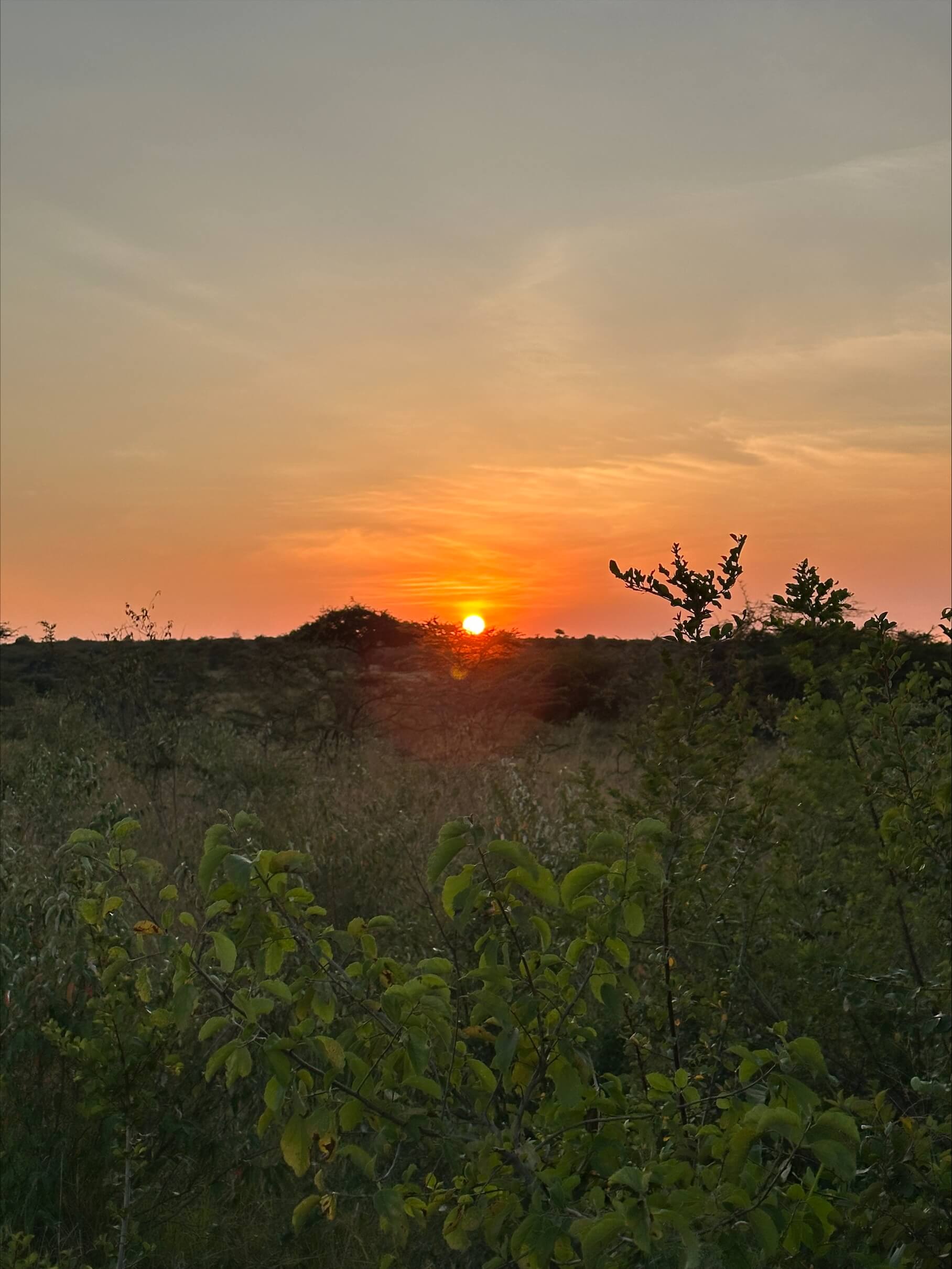 Lake Naivasha Boat Ride: Walking Safari — What It’s Actually Like